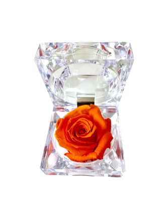 ​Wieczna róża w eleganckiej szkatułce  Orange