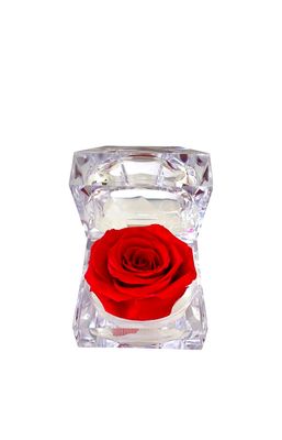 ​Wieczna róża w eleganckiej szkatułce Red