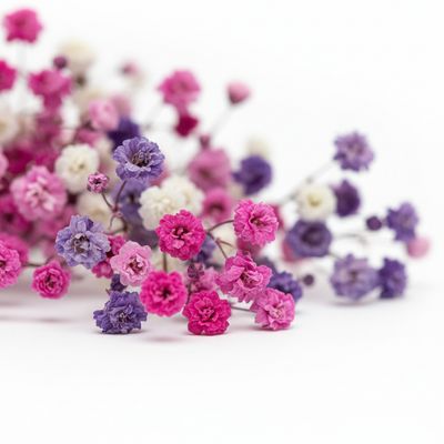 Romantyczny Bukiet Gipsówki "Pastelowe Marzenie"