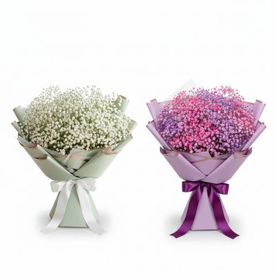 Bukiety ze Świeżej Gipsówki – Biała i Kolorowa