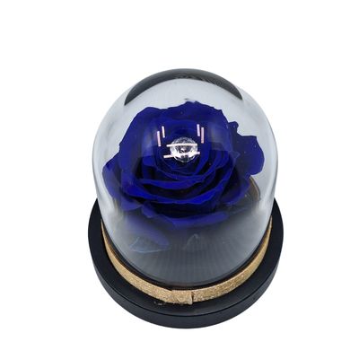 Wieczna Czerwona Róża w kopule