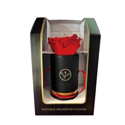 Czerwona wieczna róża w mini czarnym flower boxie Boutique Rose, luksusowy i trwały prezent na Walentynki