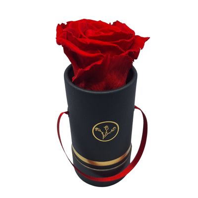Czerwona wieczna róża w mini czarnym flower boxie Boutique Rose, luksusowy i trwały prezent na Walentynki