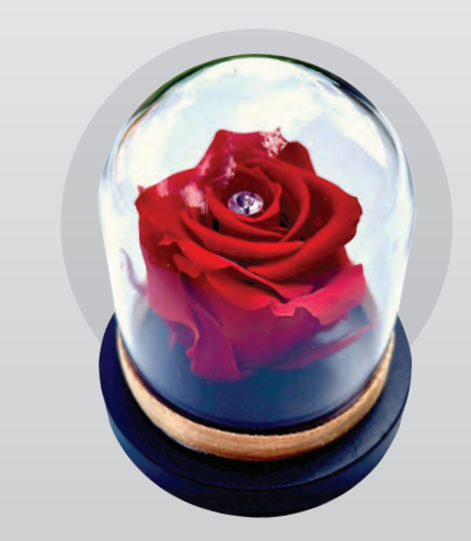 Zbliżenie na stabilizowaną czerwoną różę pod szklaną kopułą, detale puszystych płatków wiecznej róży Boutique Rose