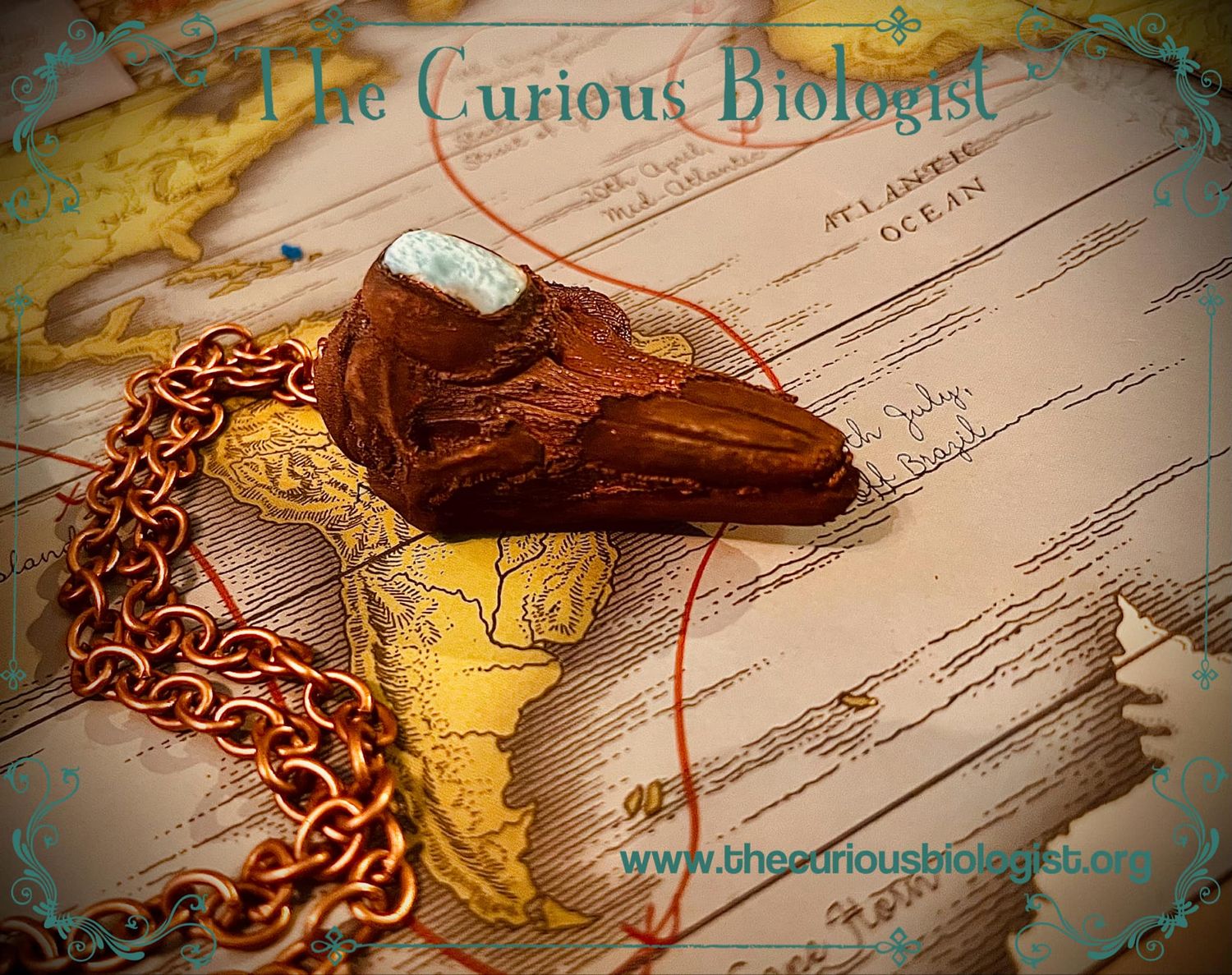 Ancient Atlantean Electroformed Dolphin Skull Pendant Necklace