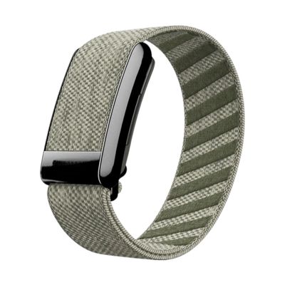 باند سوبر نت عشبي