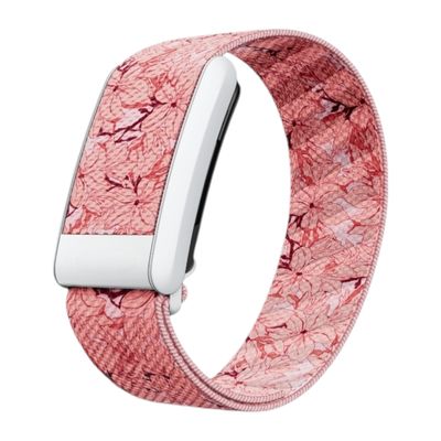 باند سوبر نت ورد