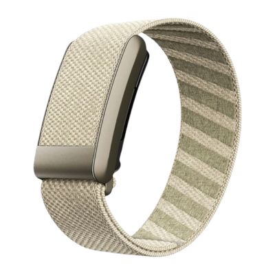 باند سوبر نت بيج