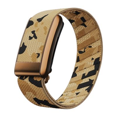 باند سوبر نت جيشي بيج