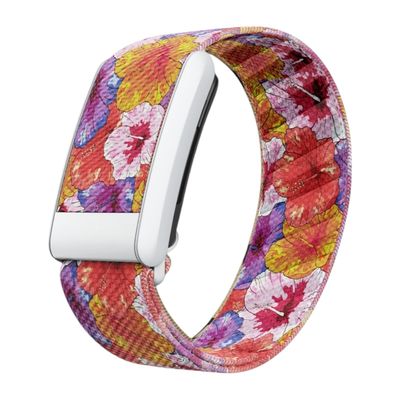 باند سوبر نت ازهار