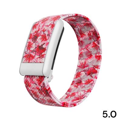 باند سوبر نت ورود 5.0