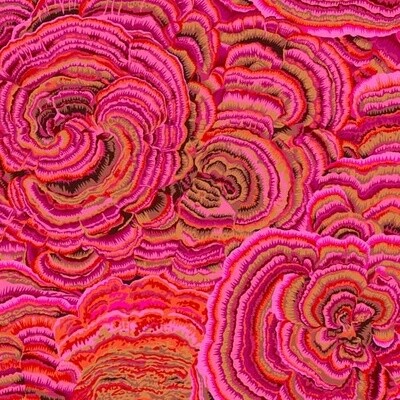 KAFFE FASSETT/PHILIP JACOBS - Tree Fungi Pink - Wide / Quilt Backing - 275 cm Wide - From 0.5 Metre