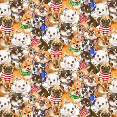 Puppies Packed - Cotton - By Metre
