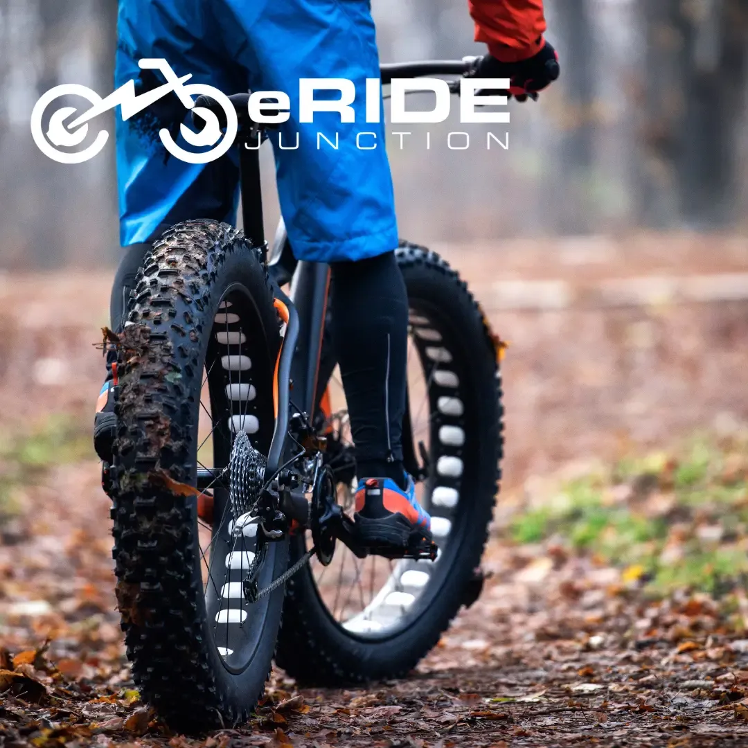 e-Bike Repair Service Standard+