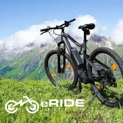 e-Bike Repair Service Standard