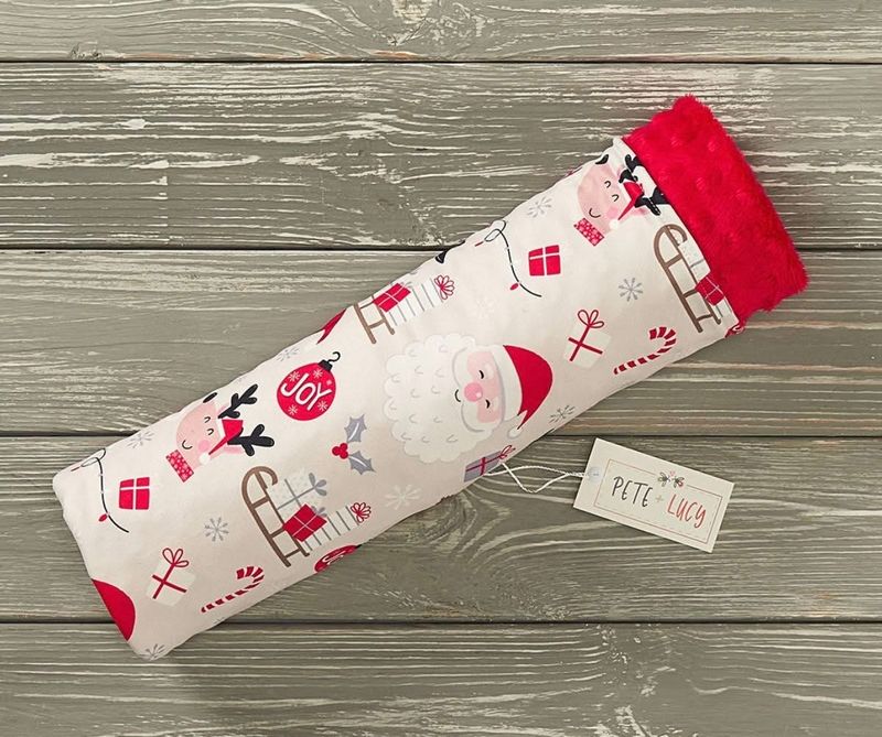 Santa’s Sleigh Minky Blanket