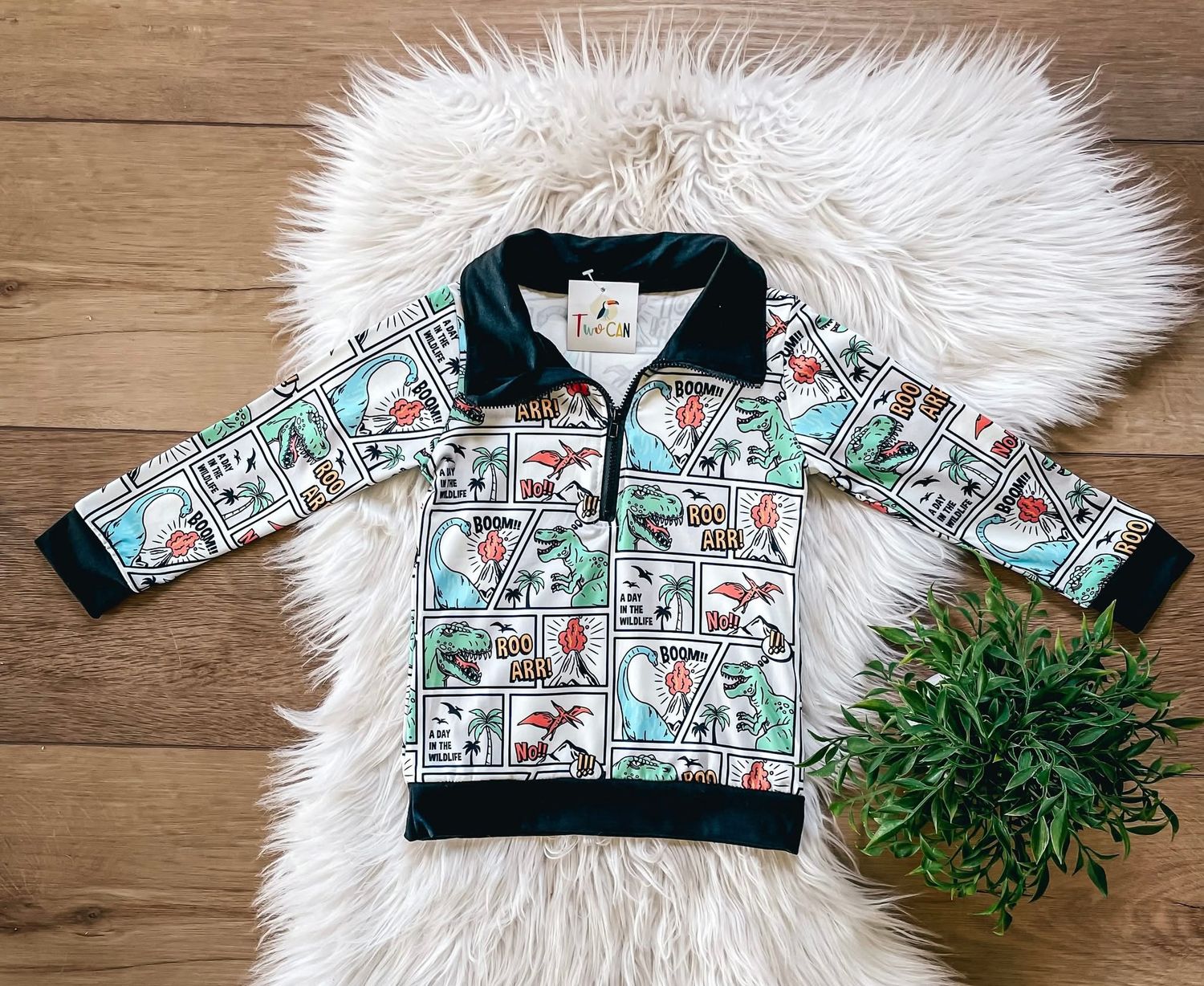 Dino Comic 1/4 Zip