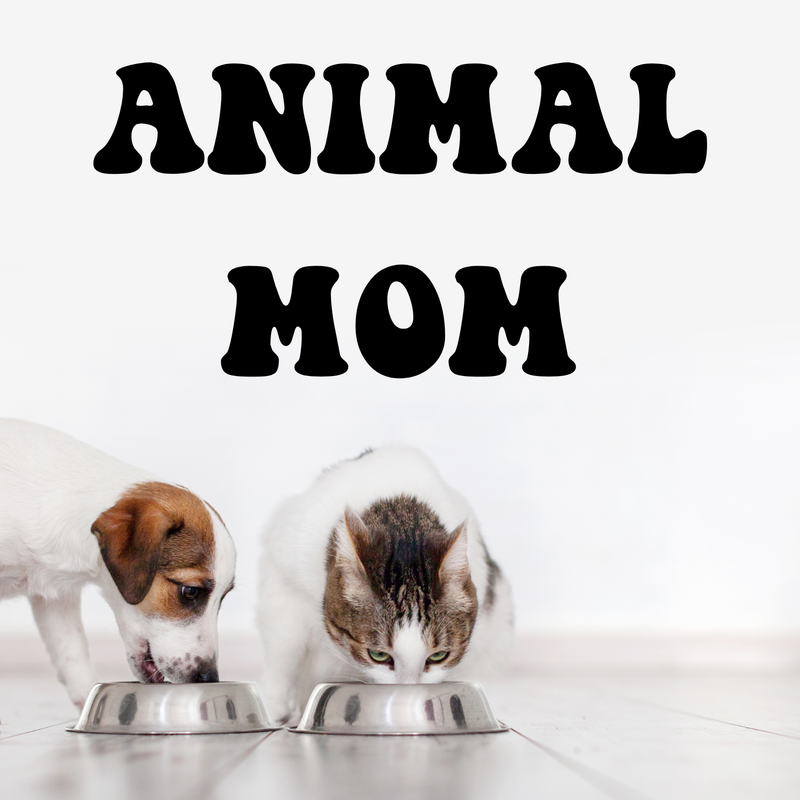 Animal Mom