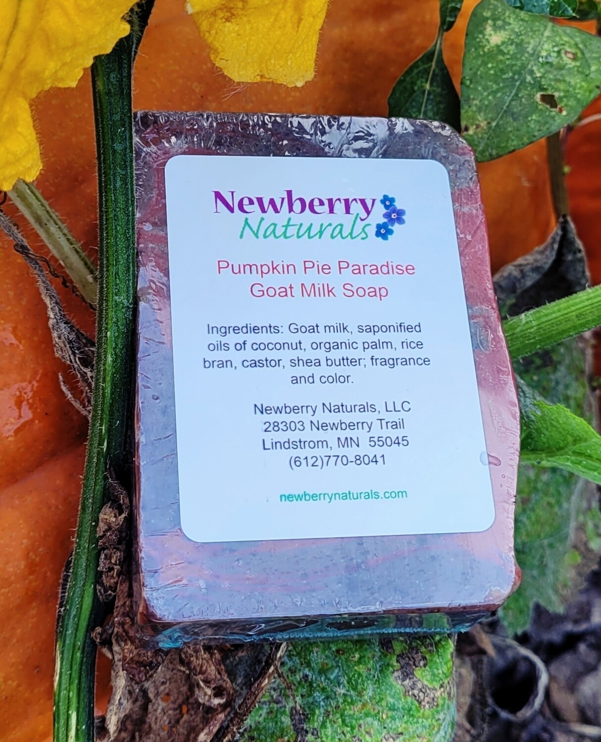 Pumpkin Pie Paradise~Limited edition 