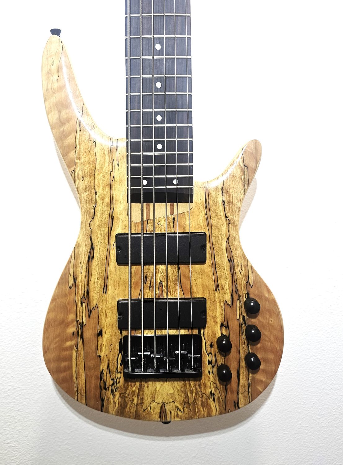 NEW SAGE  Double Cut 6-String Bass