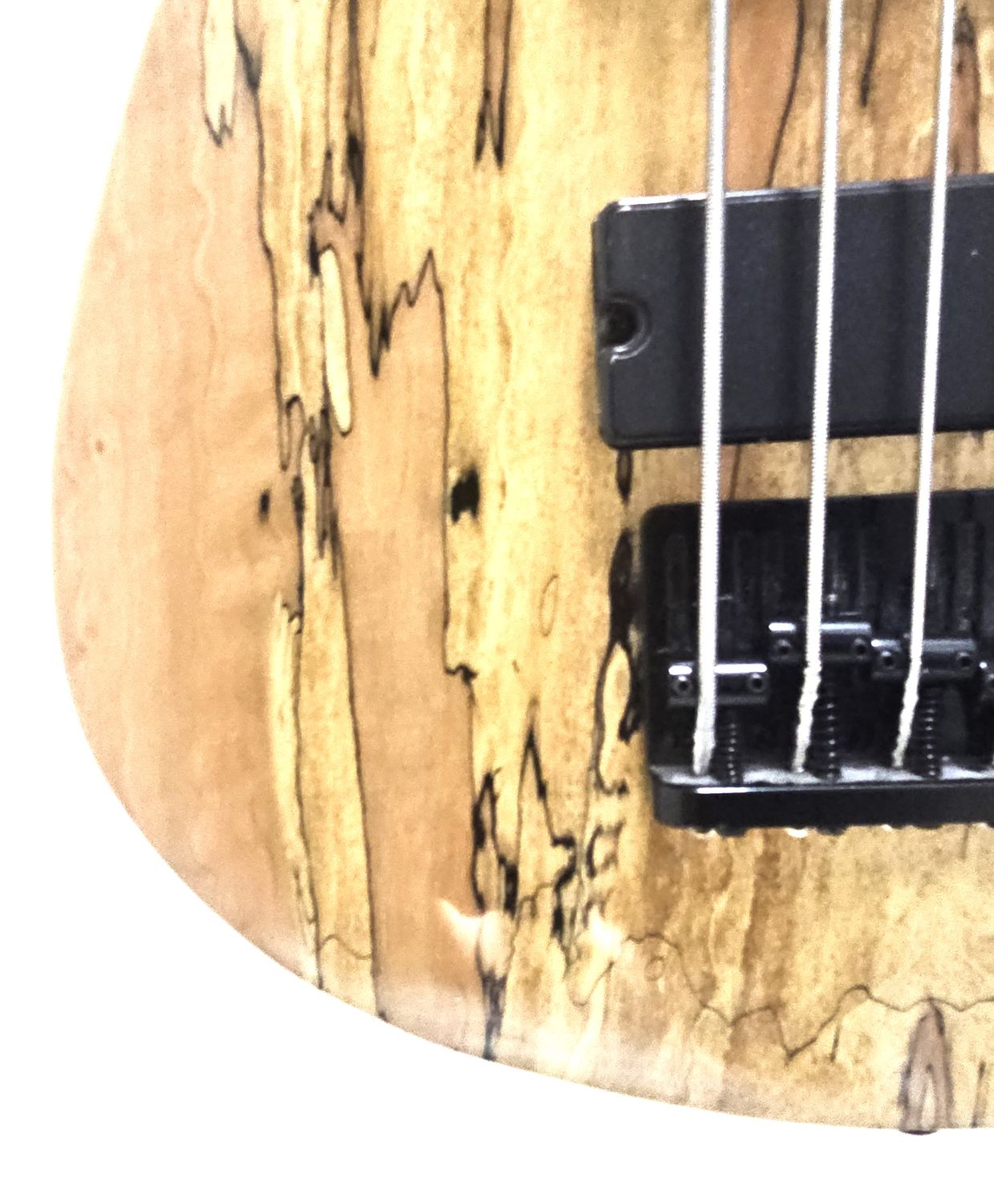NEW SAGE  Double Cut 6-String Bass