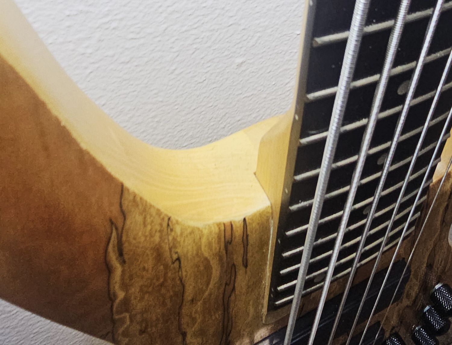 NEW SAGE  Double Cut 6-String Bass