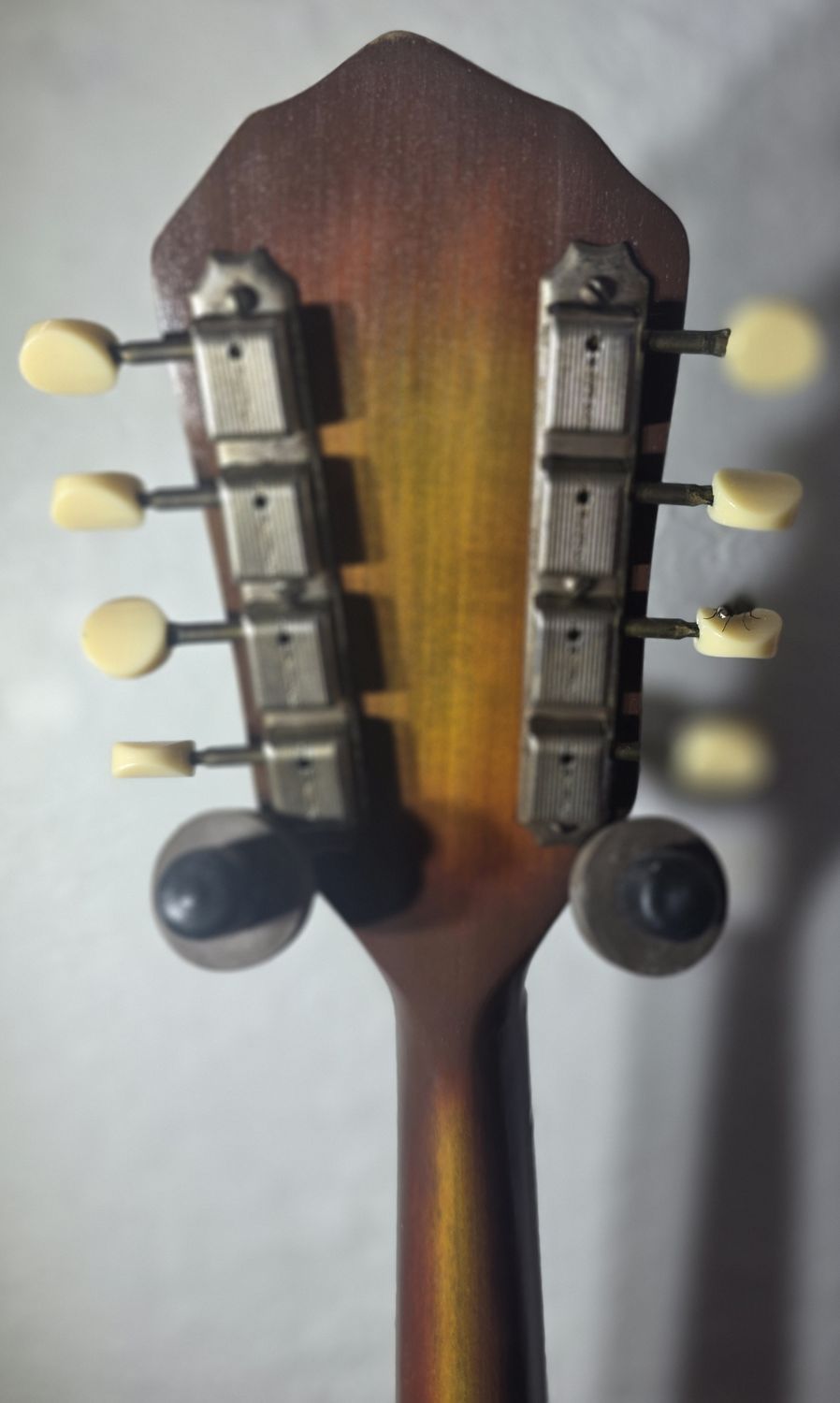 Vintage Kay k-70 MANDOLIN 1940'S