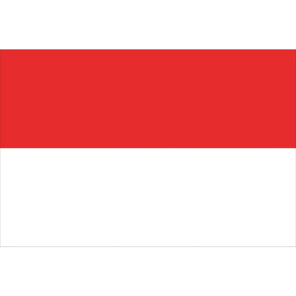 VLAG ROOD - WIT 70X100CM VLAG ROOD - WIT 70X100CM