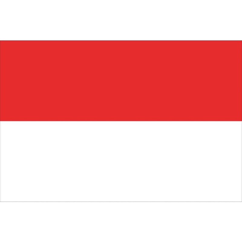 VLAG ROOD - WIT 70X100CM