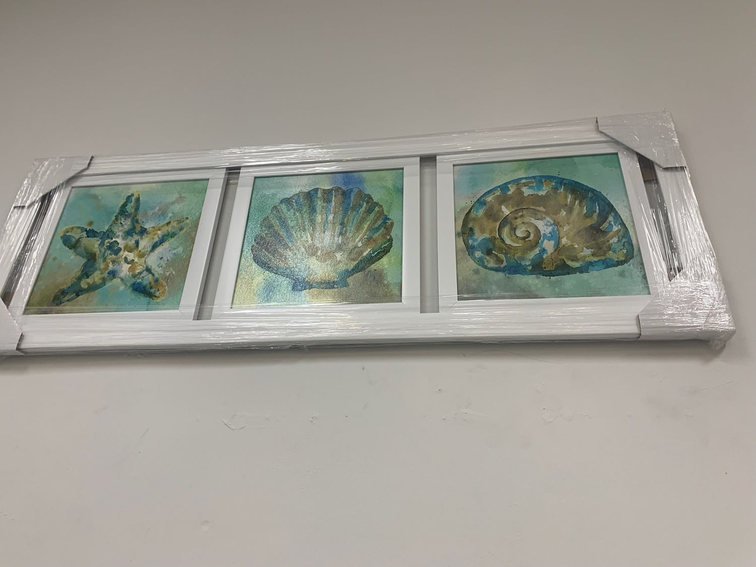 Seashells w Starfish 3 Panel
