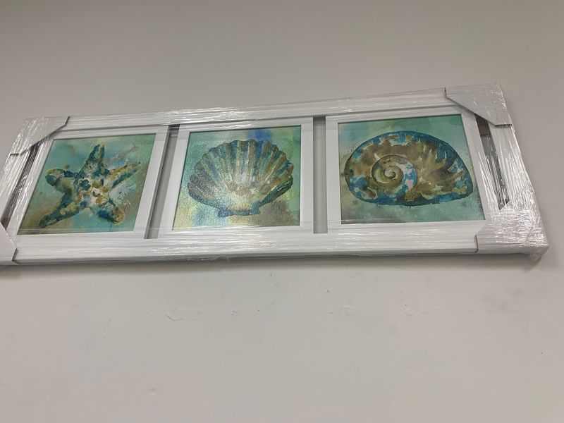 Seashells w Starfish 3 Panel