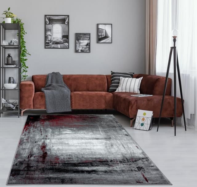 Samos Collection SM01 5&#39;3&quot;X7&#39;3&quot; Rug Light Gray and Red