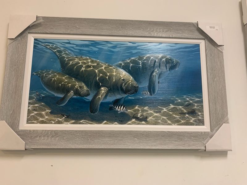Manatee Family 17x34