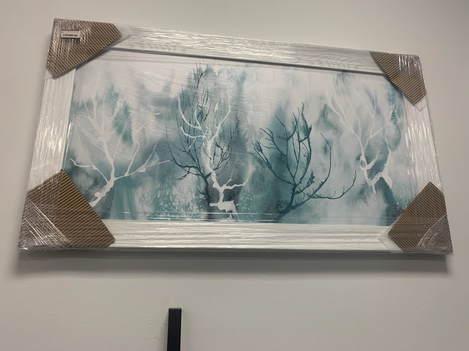 20x40 White and Teal Coral