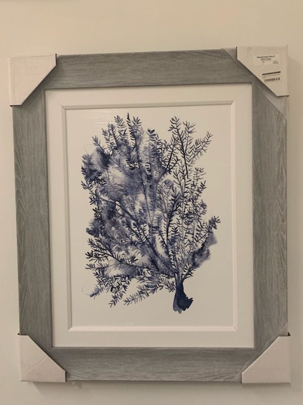 18x24 Seaweed Under Water II