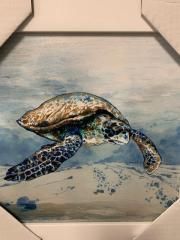 12x12 Undersea Turtle Solo Voyage w/ White Frame