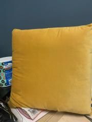 22x22 Velvet Accent Pillow in Gold