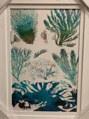 16x24 Aquatic Assemblage II