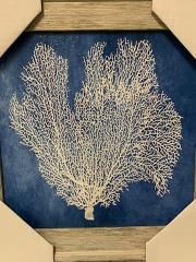12x12 White Coral on Ocean Blue w/ Driftwood Frame