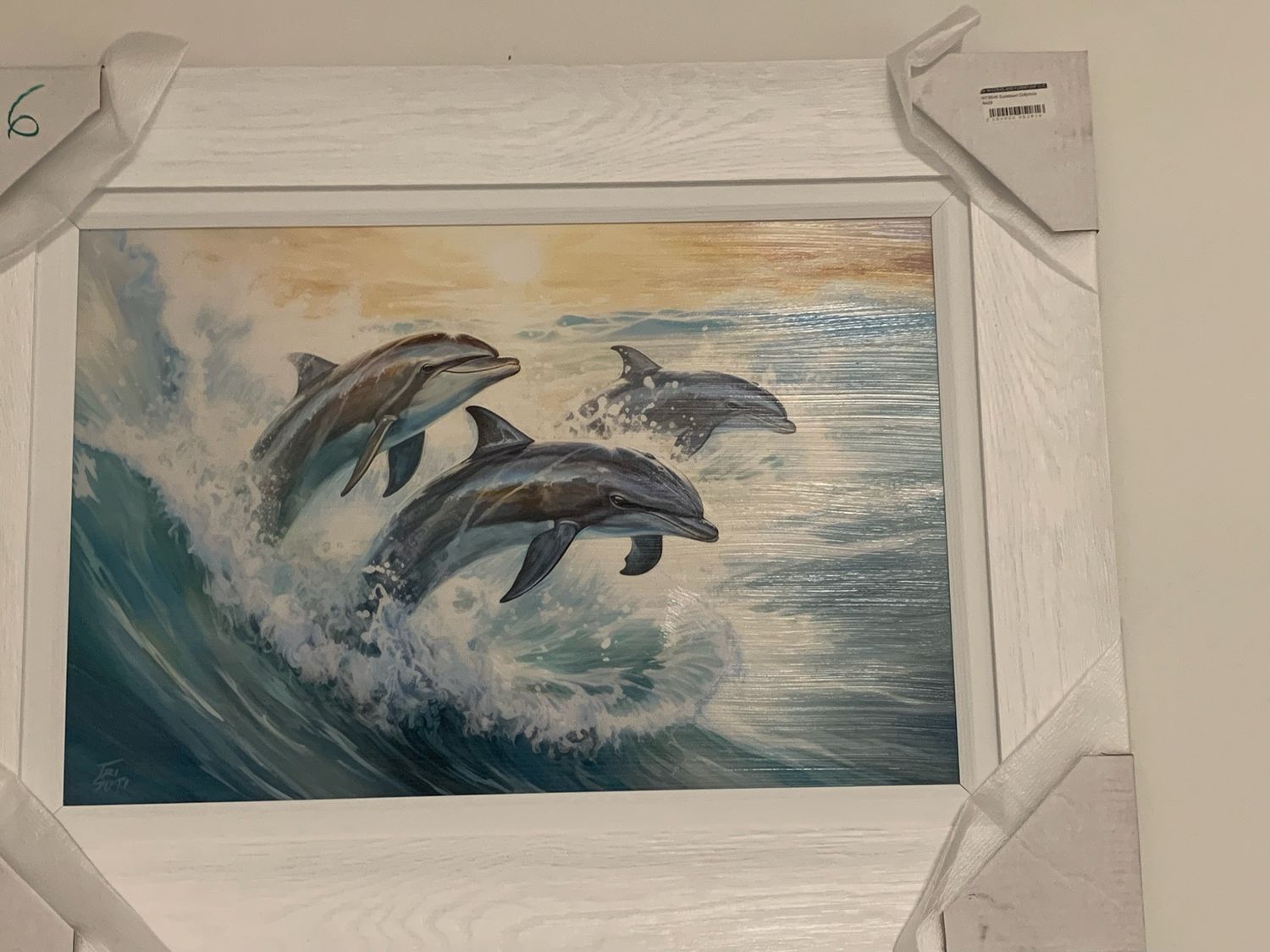 Sundown Dolphins 16x29