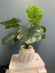 White Flower Planter with Faux Split End Greenery