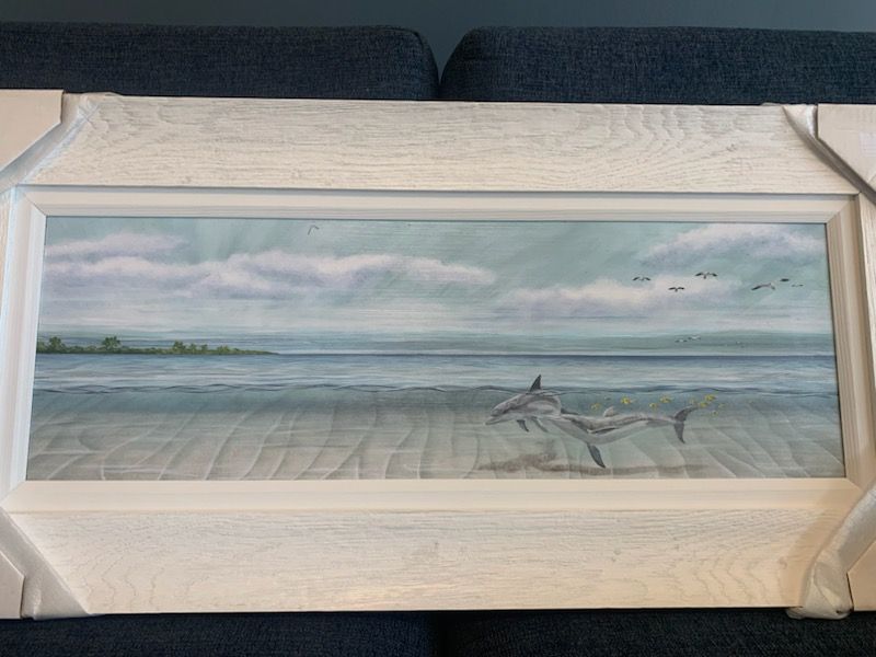 Soulmate Dolphins of the Sea