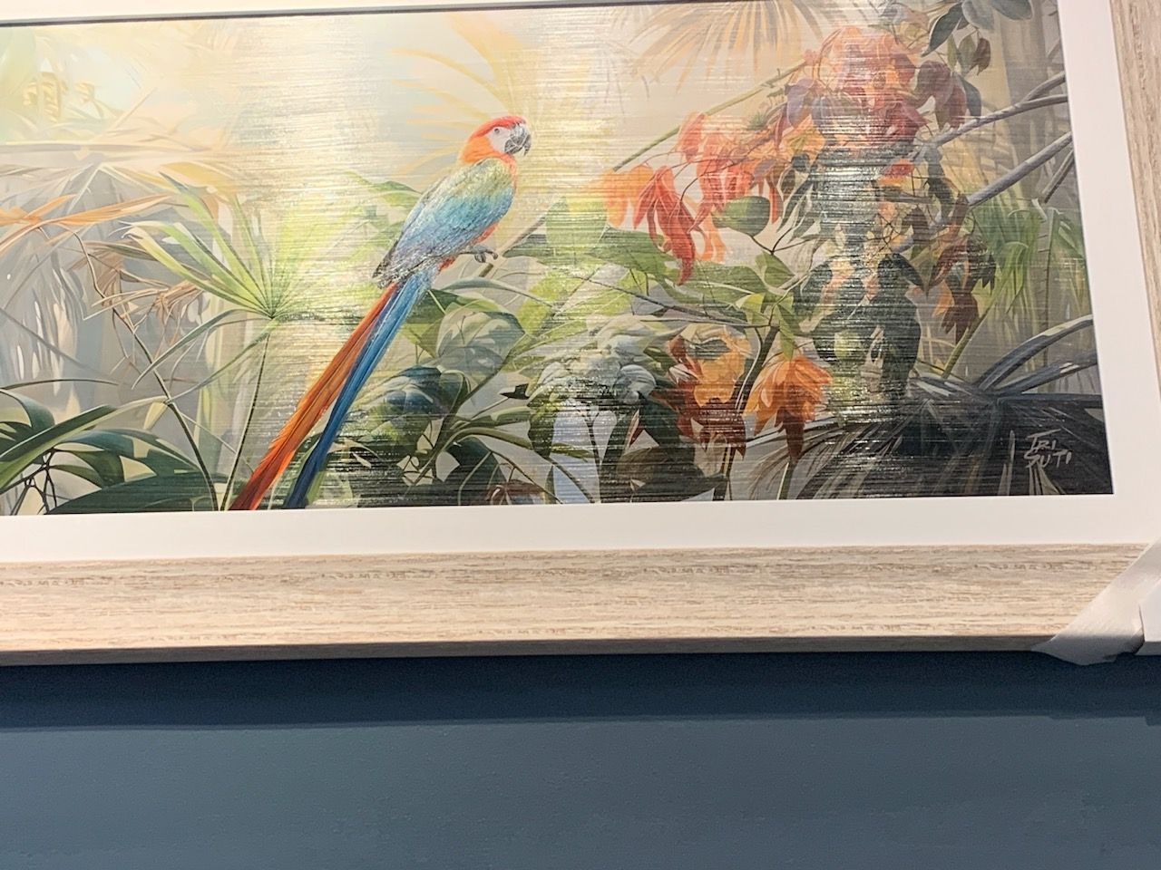 Colours of Scarlet I Macaw in the Jungle Sunshine