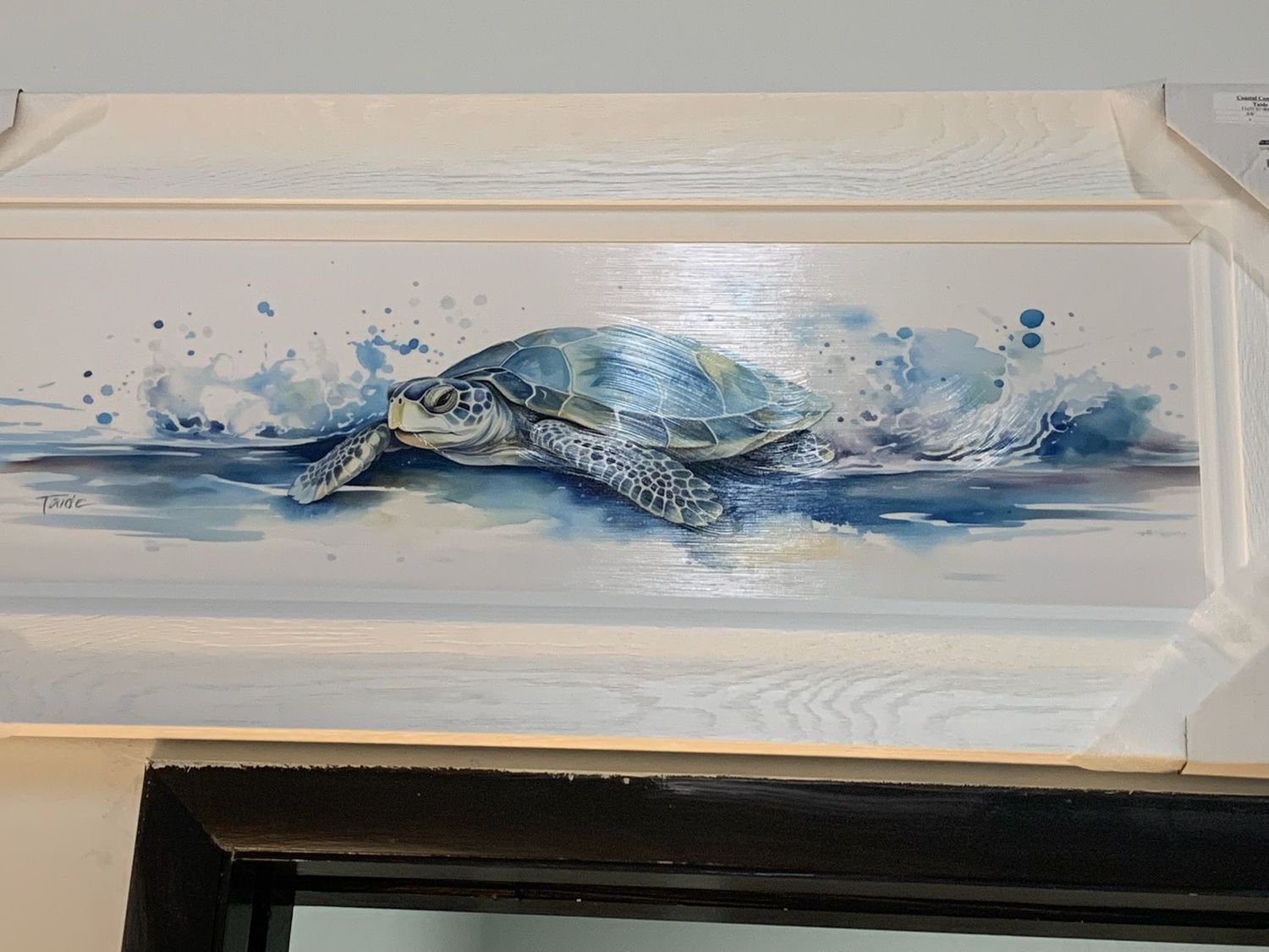 Coastal Conquest 11x35