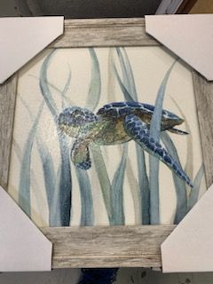 12 x 12 Solo Turtle in the Seaweed