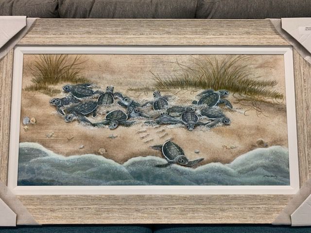 Baby Turtles Venture to the Sea