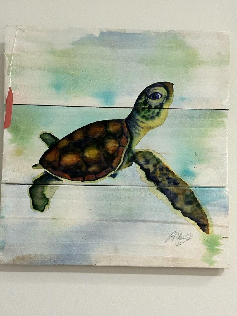 Baby Turtle