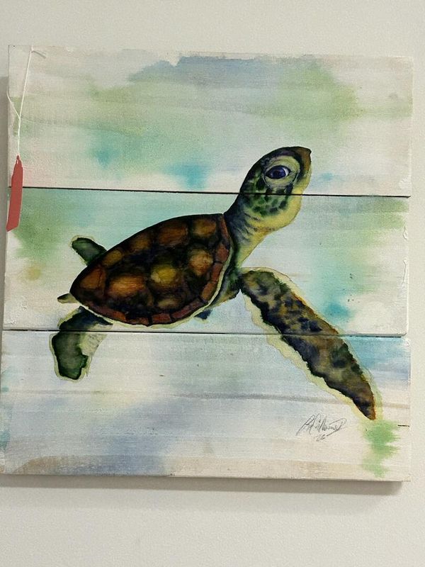 Baby Turtle