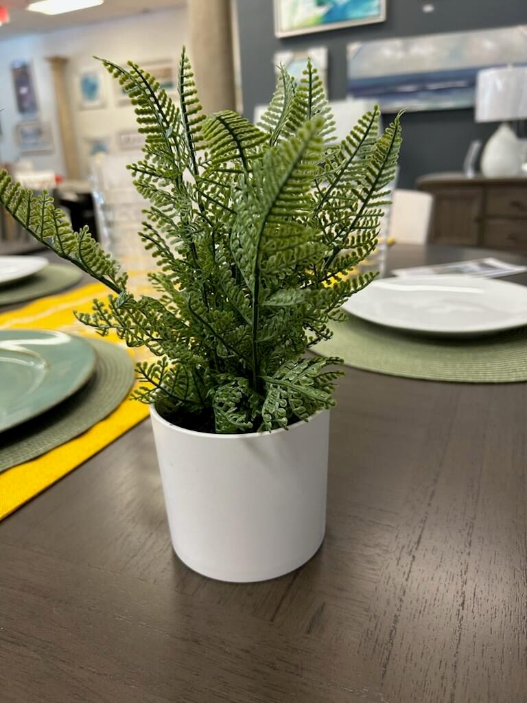 White Planter with Fern