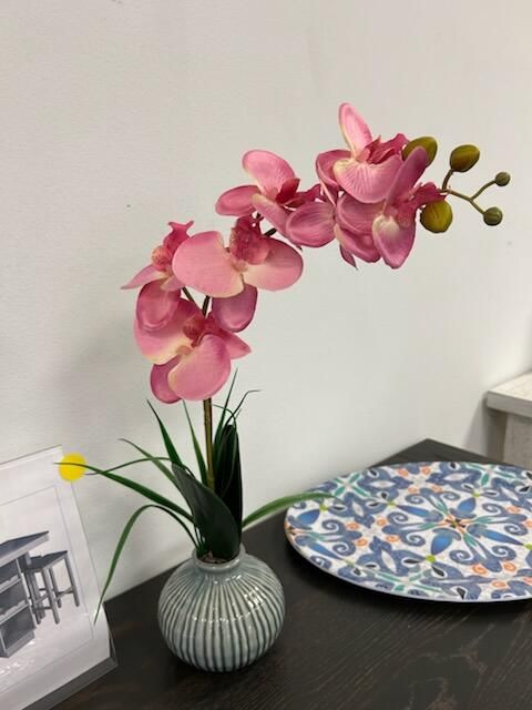 Orchid in Striped Vase